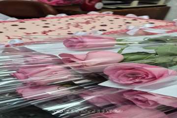 مراسم روز دختر برگزار شد